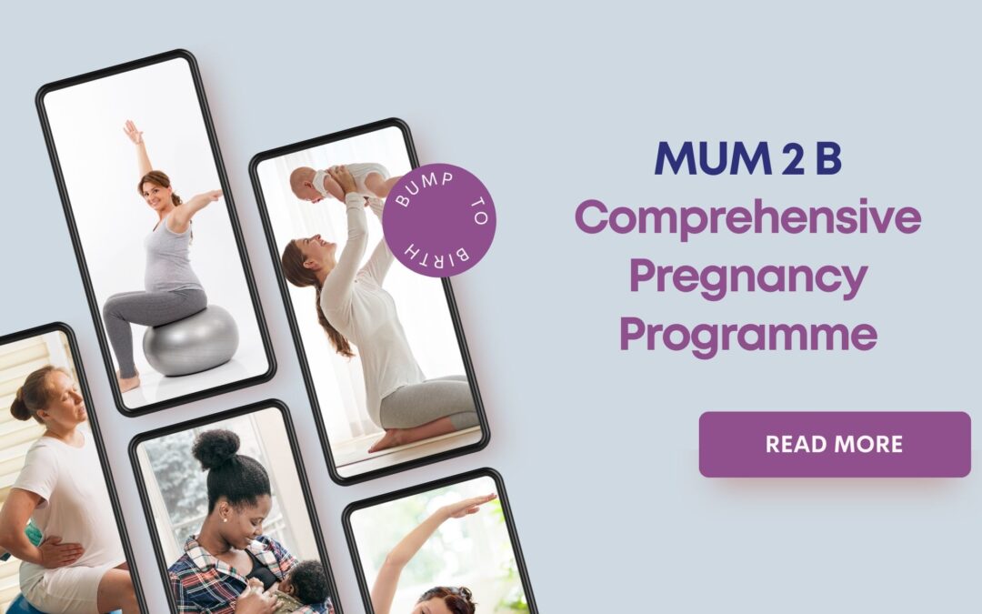 Mum2Be: Pregnancy to Birth Programme