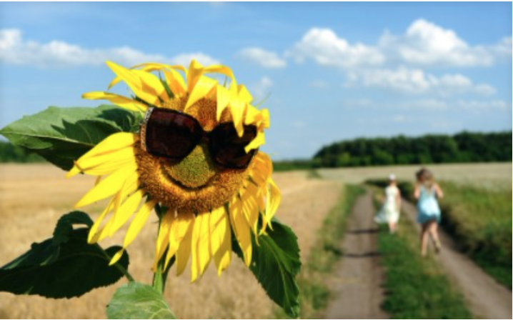 Resilience in Times of Stress